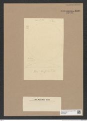 Podosira sp. (de-Toni-Nr.: Genus 217) Zeichnungen Sammlung Grunow Nr. 9420 (NHMW-BOT-W0379268)